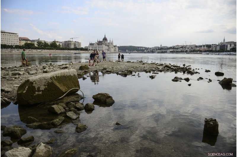 Europe Battles Severe Drought: Rivers Dry, Fish Die, Crops Wither