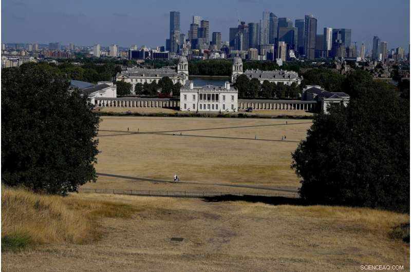 Europe Battles Severe Drought: Rivers Dry, Fish Die, Crops Wither