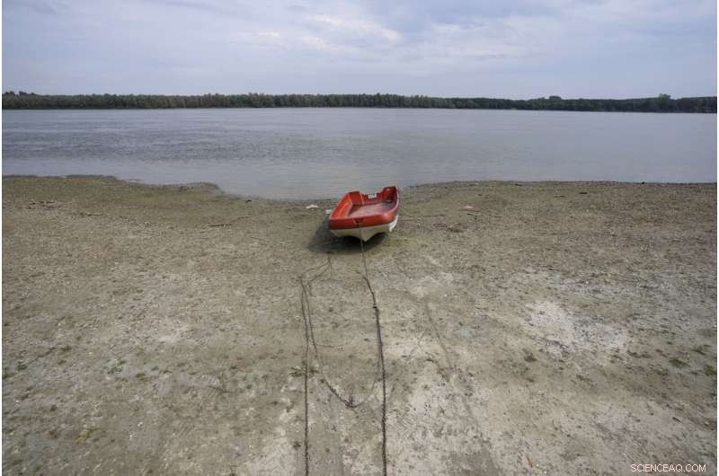 Europe Battles Severe Drought: Rivers Dry, Fish Die, Crops Wither