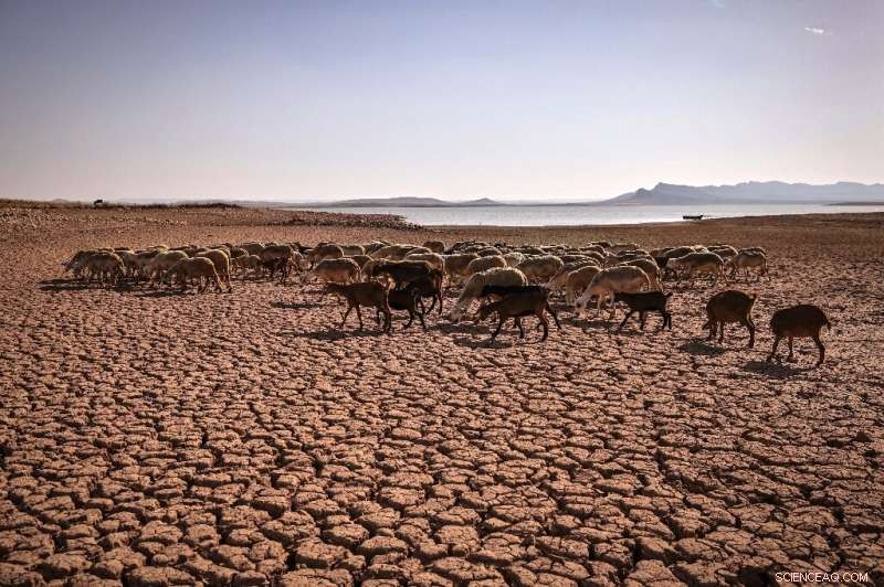 Drought Tightens Its Grip on Morocco: Villagers Struggle for Water