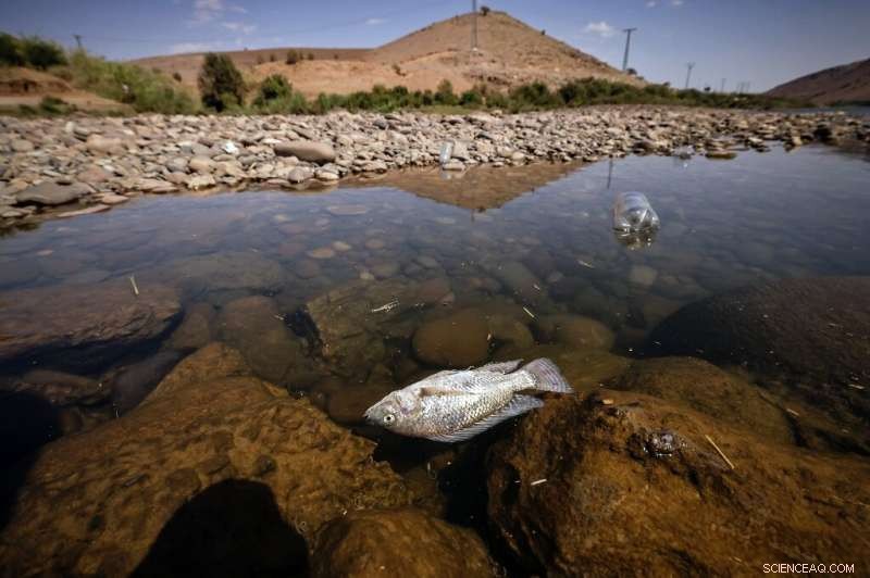 Drought Tightens Its Grip on Morocco: Villagers Struggle for Water