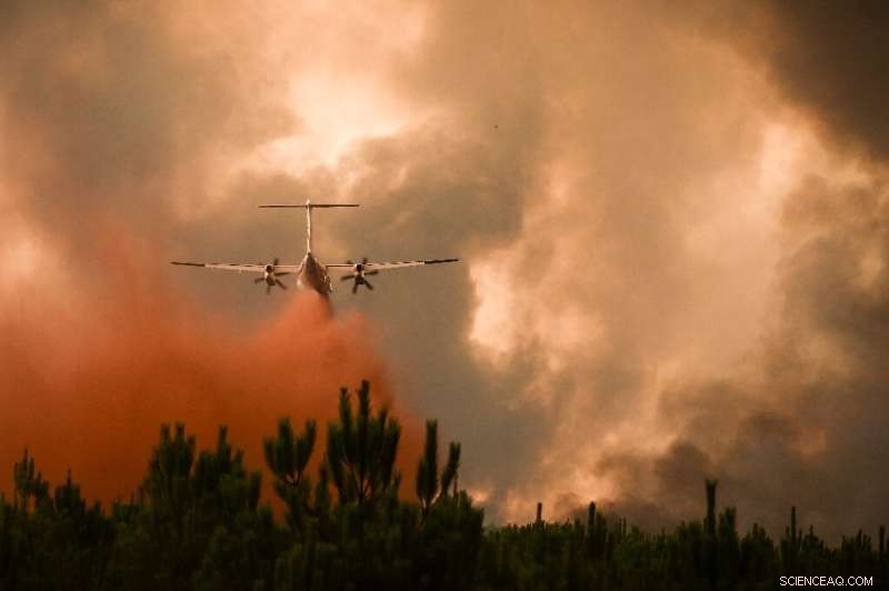 EU Reports Record Wildfire Activity in Southwest Europe for 2022