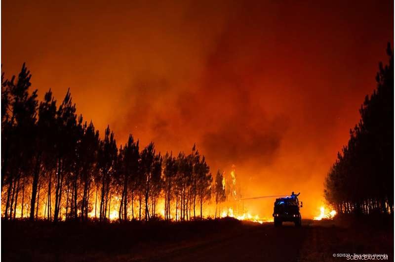 Firefighters Battle Massive Wildfire Near Bordeaux, France