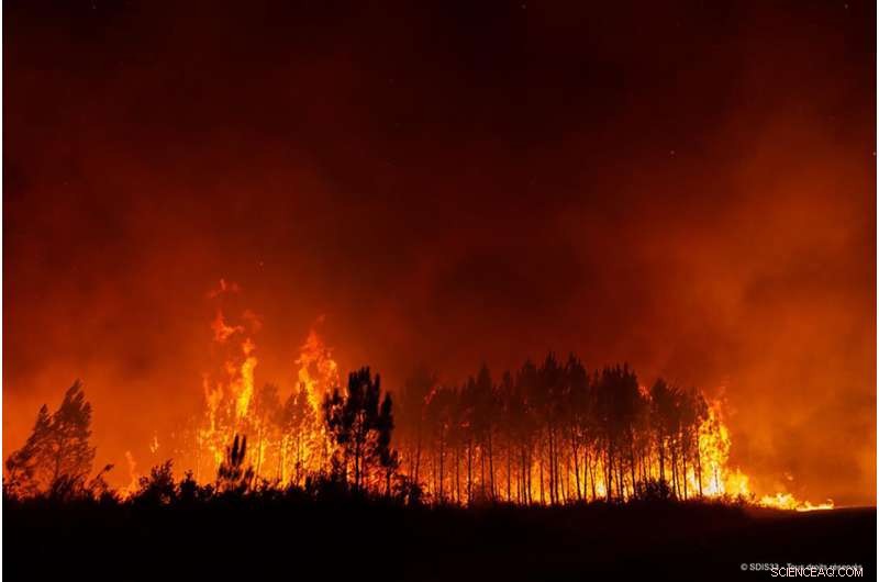 Firefighters Battle Massive Wildfire Near Bordeaux, France