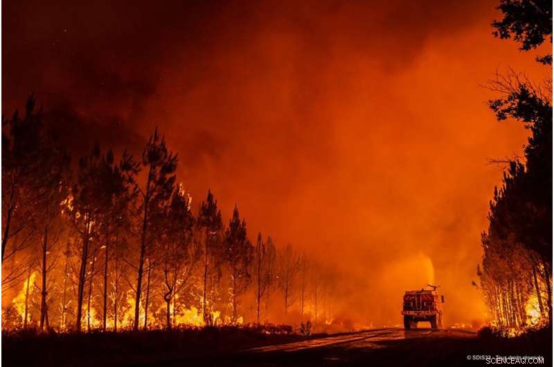 Firefighters Battle Massive Wildfire Near Bordeaux, France