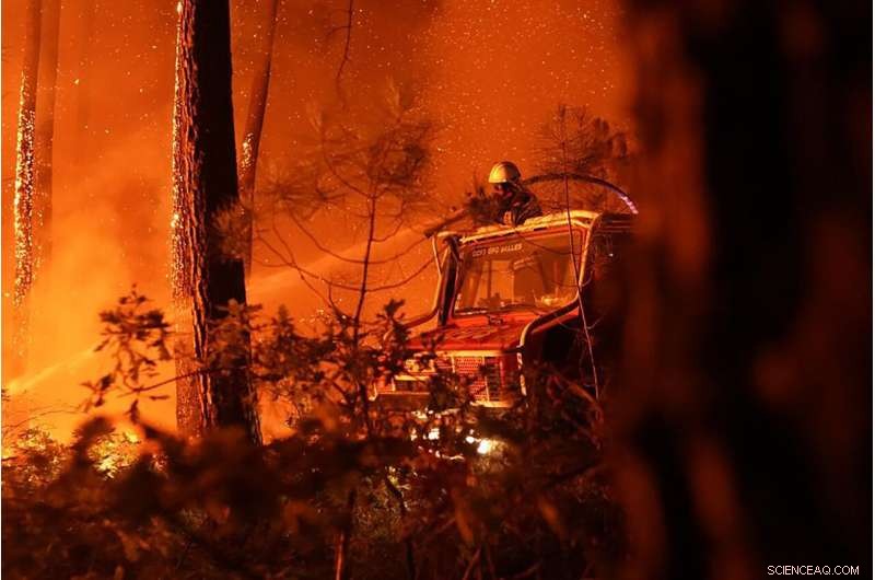 Europe Faces Dual Crisis: Widespread Wildfires and Mass Fish Die-Offs Amid Severe Drought