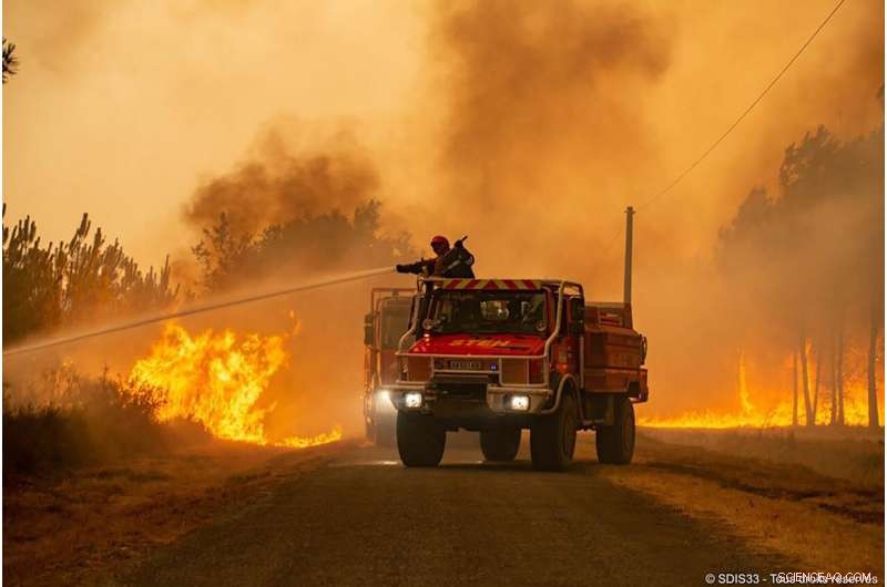 Europe Faces Dual Crisis: Widespread Wildfires and Mass Fish Die-Offs Amid Severe Drought