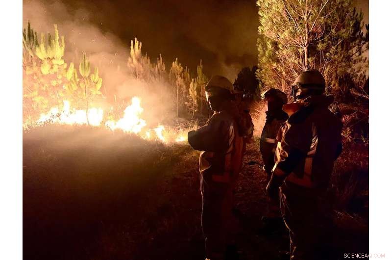 Europe Faces Dual Crisis: Widespread Wildfires and Mass Fish Die-Offs Amid Severe Drought