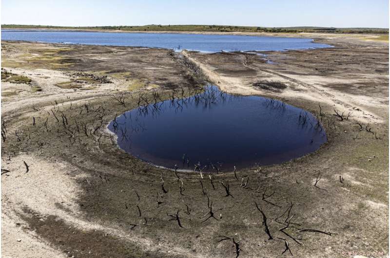 Europe Faces Dual Crisis: Widespread Wildfires and Mass Fish Die-Offs Amid Severe Drought