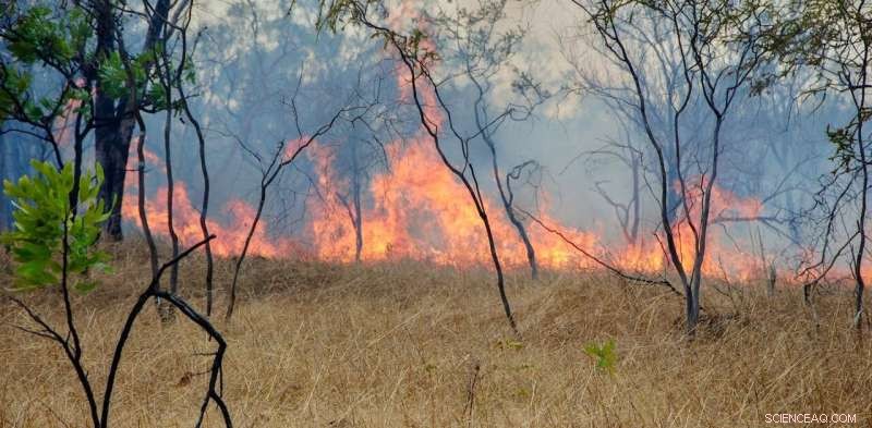 Health Risks of Savanna Burning in Australia’s Carbon Credit Scheme