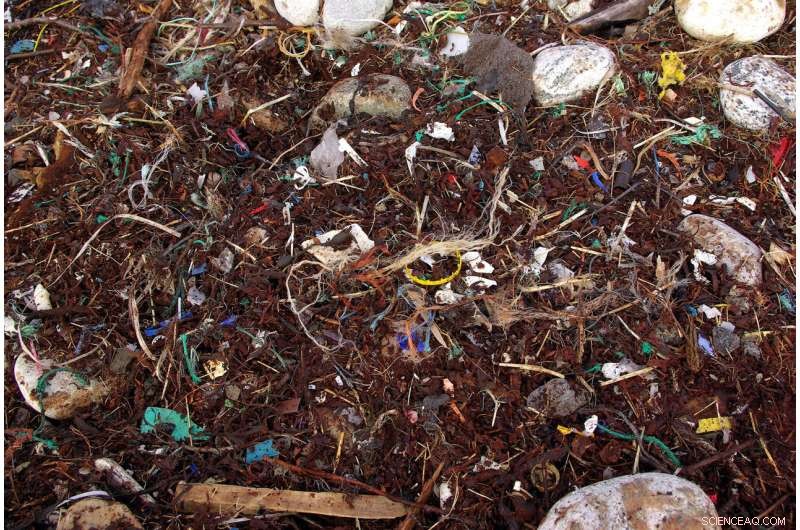 Enhancing Accuracy of Microplastic Level Assessments in Freshwater Ecosystems