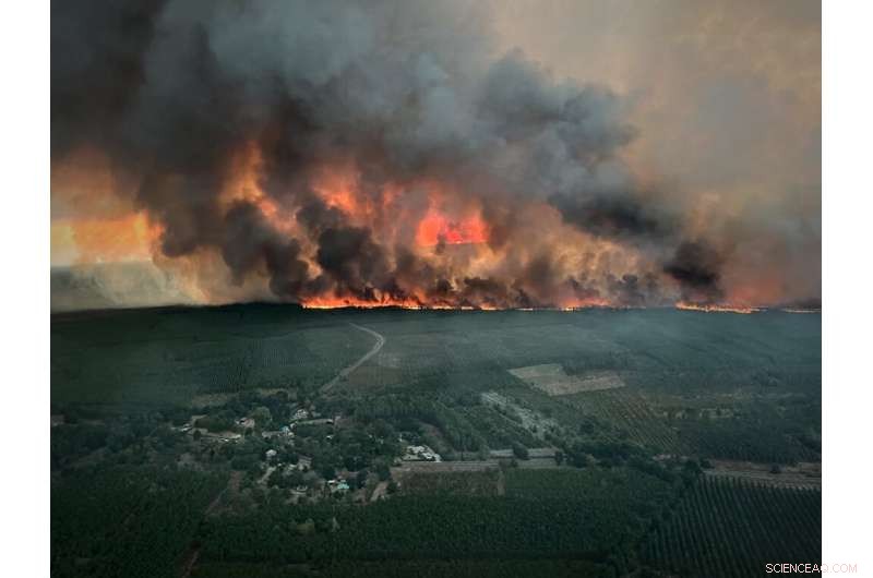 Arson Suspected in Massive French Wildfire Reignition