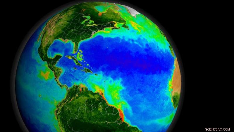 Advanced Ocean Model Illuminates Diel Light Cycle s Impact on Global Phytoplankton Dynamics