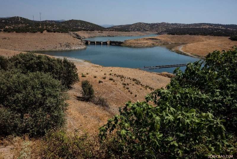 Spain Rethinks Water Use Amid Historic Drought and Desertification Threat