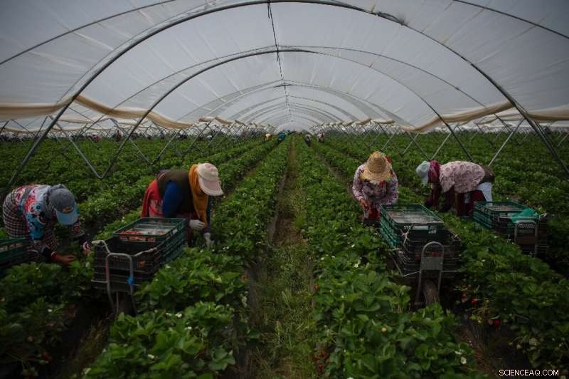 Spain Rethinks Water Use Amid Historic Drought and Desertification Threat