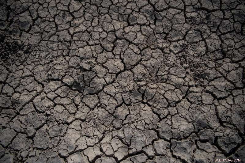 Spain Rethinks Water Use Amid Historic Drought and Desertification Threat