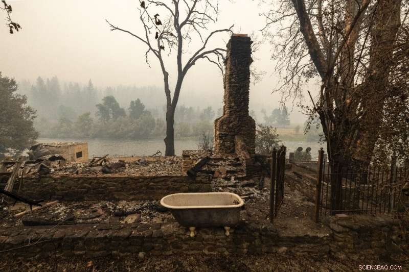 Scientists Urge Global Action as US Enacts Landmark Climate Bill