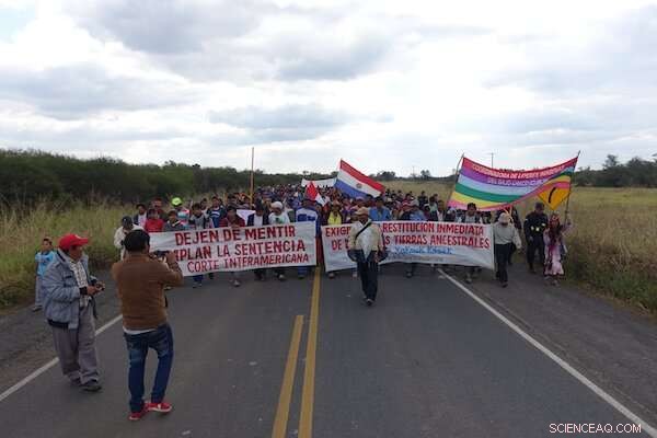 UN Declares Healthy Environment a Universal Human Right—What This Means for Us