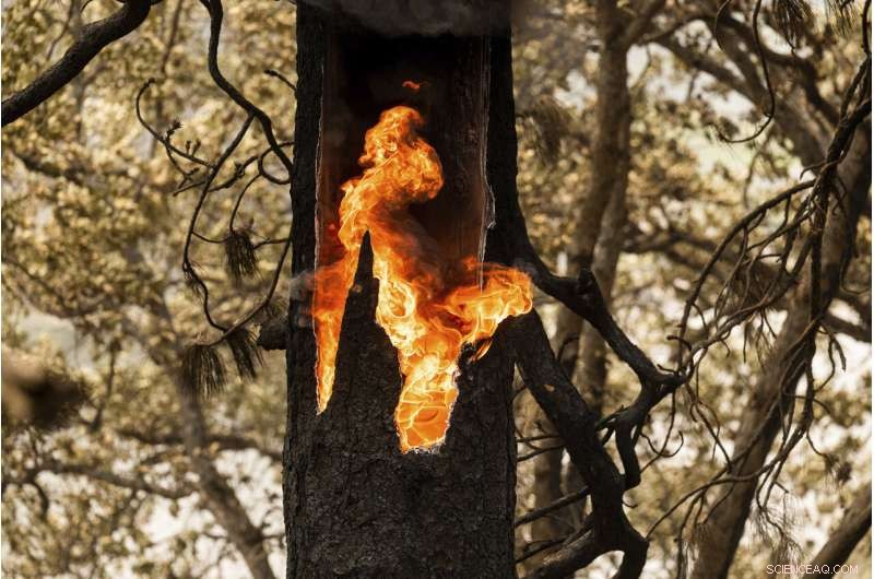 California Firefighters Advance; Washington Town Evacuates Amid Growing Wildfire