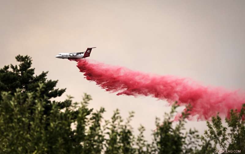 California Firefighters Advance; Washington Town Evacuates Amid Growing Wildfire