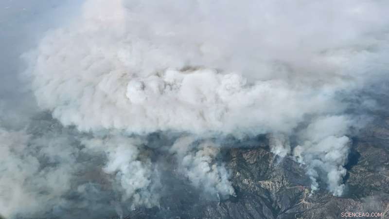 Satellite Plant Stress Data Could Forecast Wildfire Severity