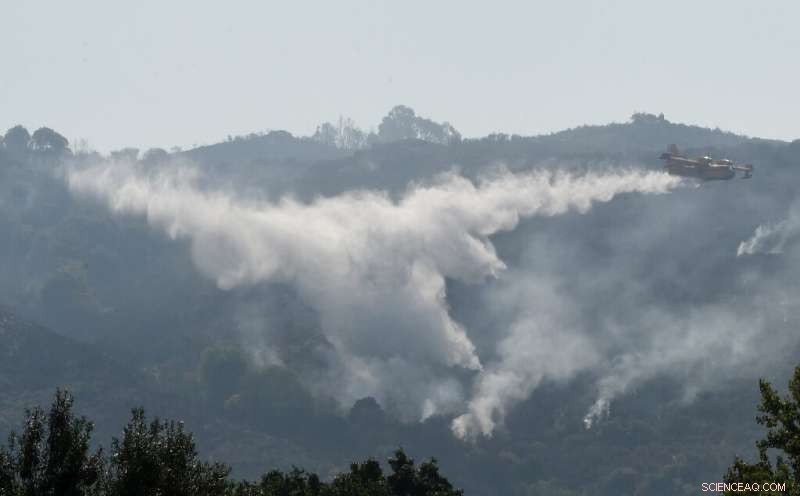 Firefighters Contend with Deliberate Wildfire in Northwestern Spain