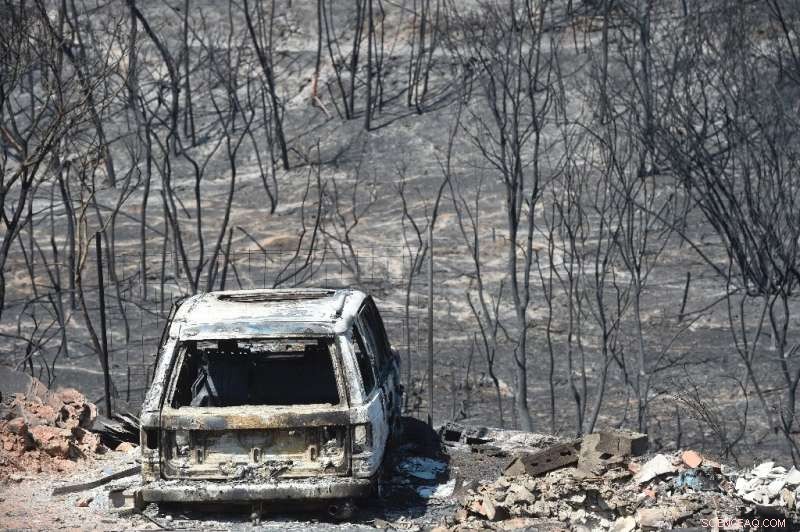 Firefighters Contend with Deliberate Wildfire in Northwestern Spain