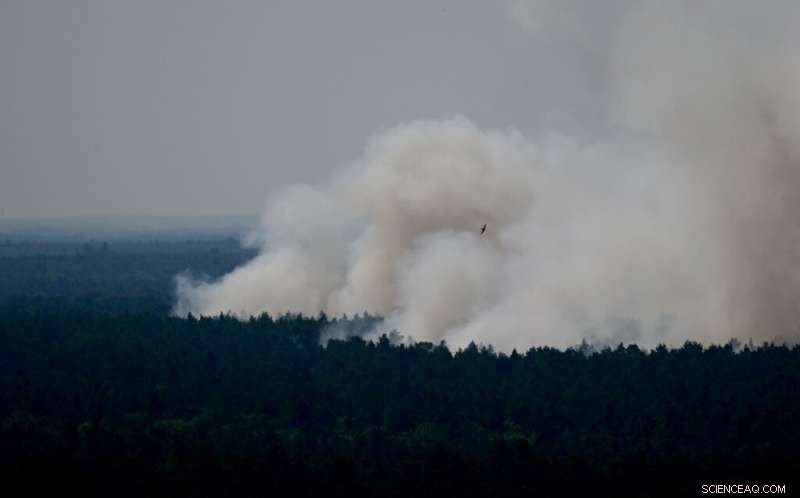 Berlin Forest Munitions Site Fires Trigger Explosions, Affecting 15,000 sqm
