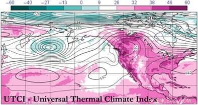 Assessing Forecast Accuracy: Can Meteorologists Predict Unprecedented Heat Waves?