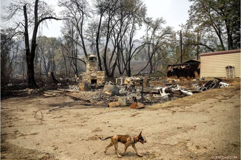 Massive California Wildfire Devastates Klamath River Town, Leaving Wreckage and Loss