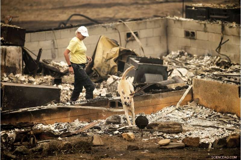 Massive California Wildfire Devastates Klamath River Town, Leaving Wreckage and Loss