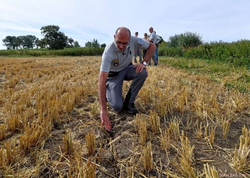 Record-Breaking Dry July Threatens European Agriculture