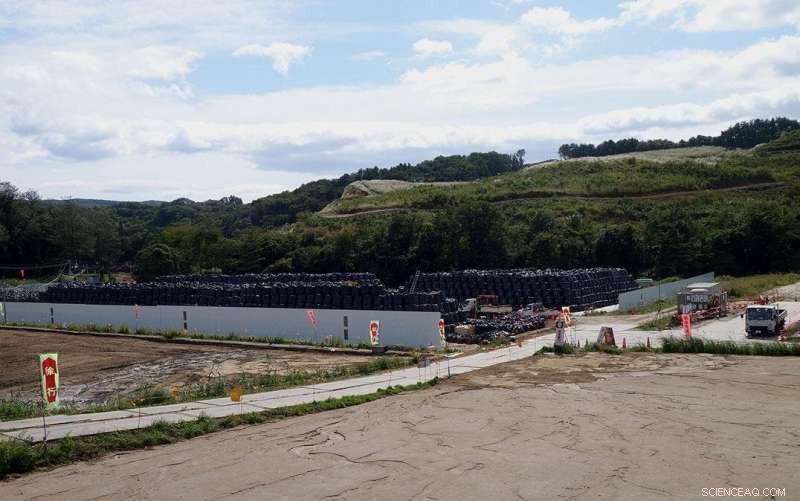 Rapid Revegetation Significantly Lowers Suspended Sediment Following Fukushima Decontamination