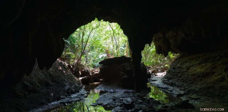 Australian Deepest Cave Unveiled: Scientists Explain How These Subterranean Giants Form