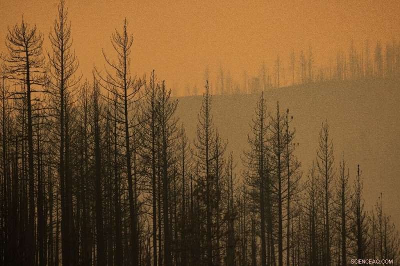 Hundreds of Firefighters Battle McKinney Fire to Protect Yreka, California