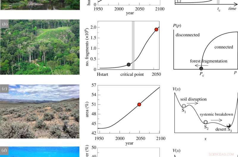 Ecological Complexity & the Biosphere: 30‑Year Outlook to 2050