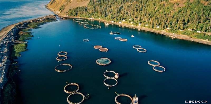 The Blue Economy: Transforming Canada’s Oceans and Coastal Communities