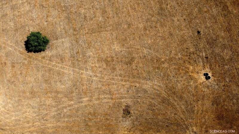 France and England Experience Record-Breaking Drought in July