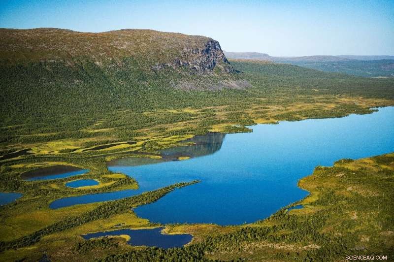 Study Shows Bacteria May Accelerate Plastic Degradation in Lakes