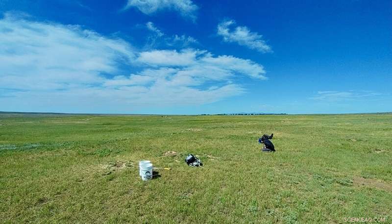 New Study Pinpoints Soil Carbon Hotspots with Highest Sequestration Potential