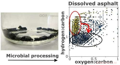 Asphalt Found as Major Contributor to Persistent Oceanic Carbon and Sulfur Pollutants