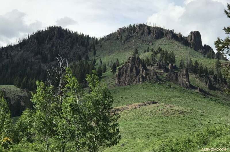 Advanced Modeling Indicates Future Decline in Wildfire Occurrence and Intensity