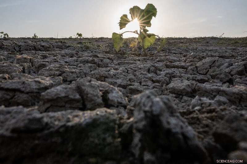 France Faces Record-Setting Driest July, Meteorologists Warn of Severe Water Restrictions