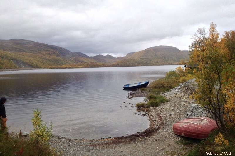 Bacteria Break Down Plastic in Lakes: A Natural Solution