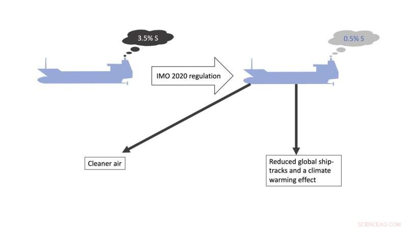 Mapping Global Ship Tracks with Deep Learning: Insights into Fuel Regulations