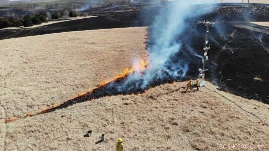 Argonne s Sage System Enhances Controlled Burn Monitoring, Aiming to Prevent Forest Fires