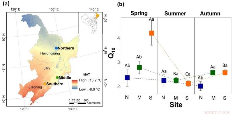 Seasonal Microbial Drivers of Soil Respiration’s Temperature Sensitivity
