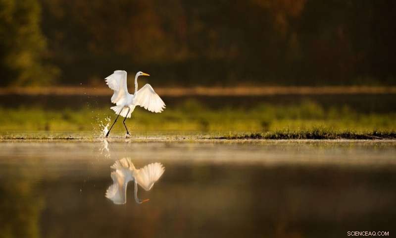 The Crow River’s Pollution Threatens the Mississippi: A Minnesota Story