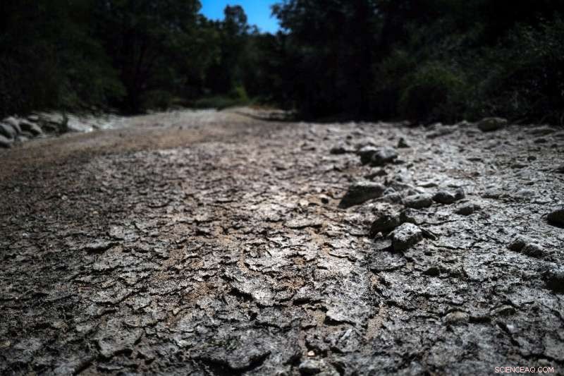 France Battles Severe Drought Amid Record-Breaking Heatwave
