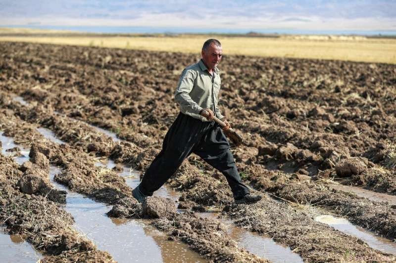 Iraqi Kurd Farmers Struggle as Lake Dukan Dwindles Amid Drought